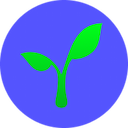 Logo de la Criptomoneda Radicle