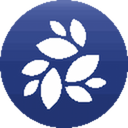 Logo de la Criptomoneda NKN