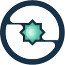 Logo de la Criptomoneda INSTAR